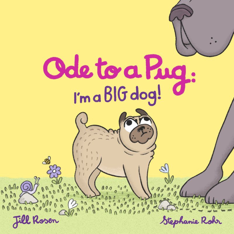Oda a un Pug: ¡Soy un perro GRANDE! Reservar tour y sorteo
